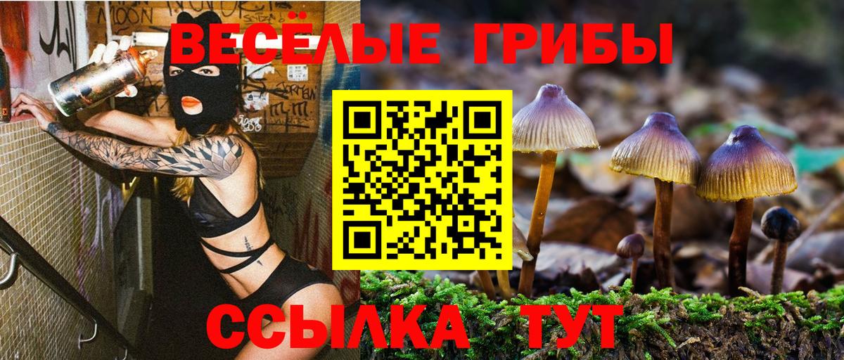 Галлюциногенные грибы MAGIC MUSHROOMS Вязники